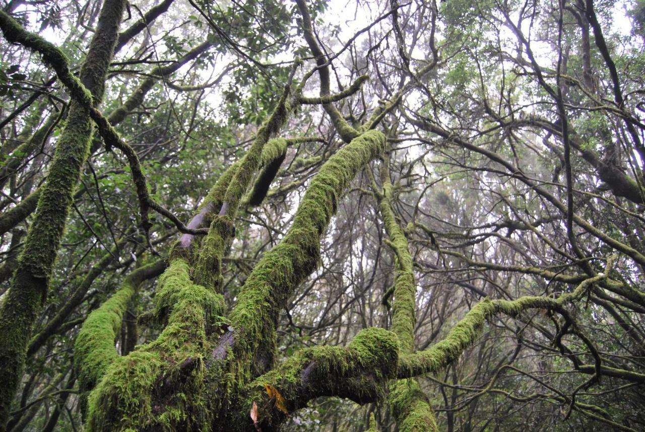 Appartamento Gurugu 2 San Sebastián de la Gomera Esterno foto